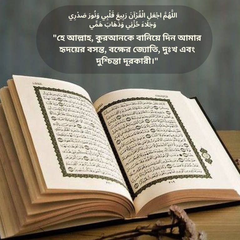qnq Books